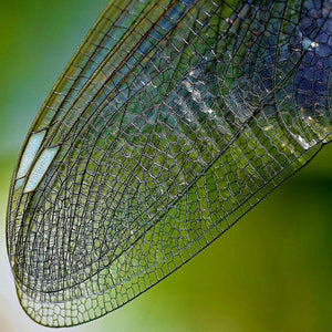 Top Tips for Permeable or Thin Boundary Types