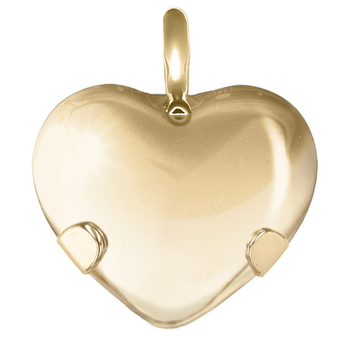 Ultimate EMF Protection Necklace - 14k Gold - Level 4 Heart