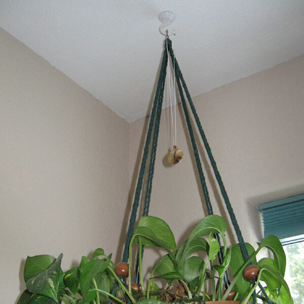 Room Shield EMF protection pendant for rooms, cars, babies hanging in a plant.