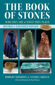 Book of Stones Naisha Ashian reviews Bioelectric Shield