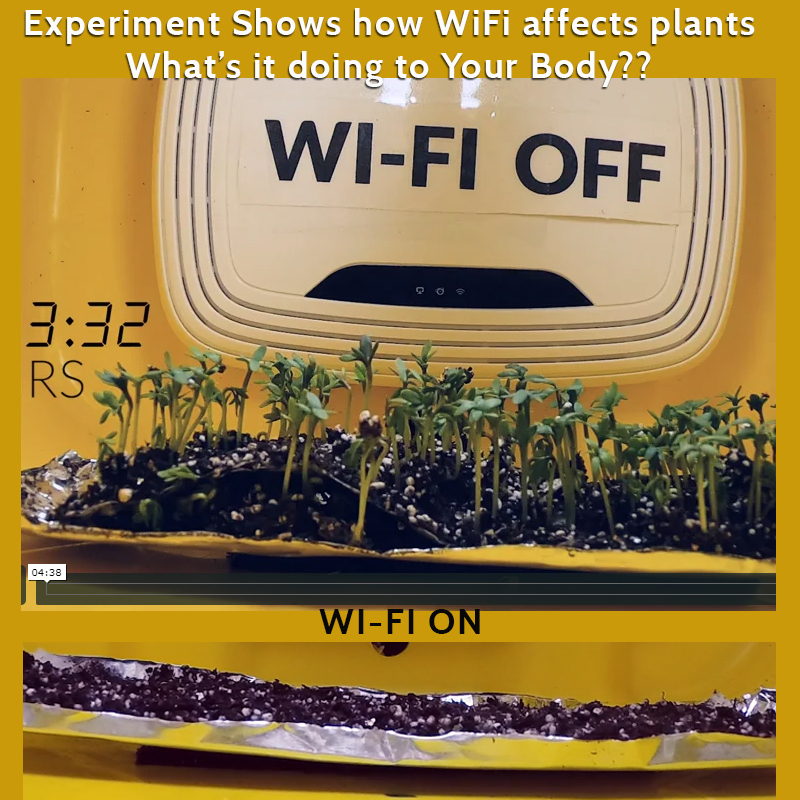 wifi plant growth experiment