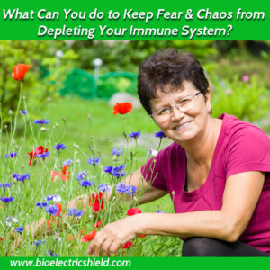 keep fear and chaos from depleting your immune system